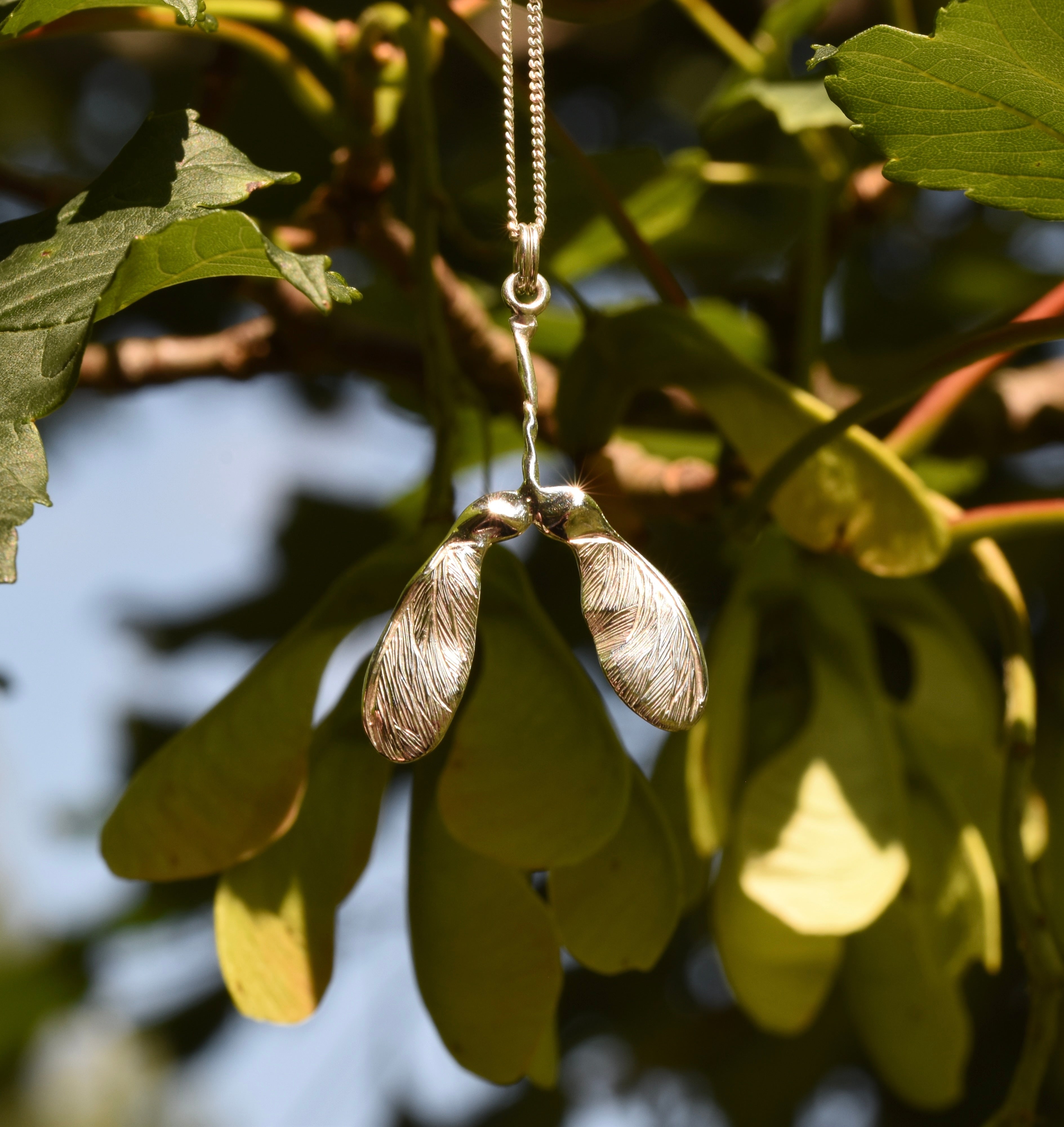 a large silver sycamore pendant hanging from a sycamore tree with real seeds and leaves framing it