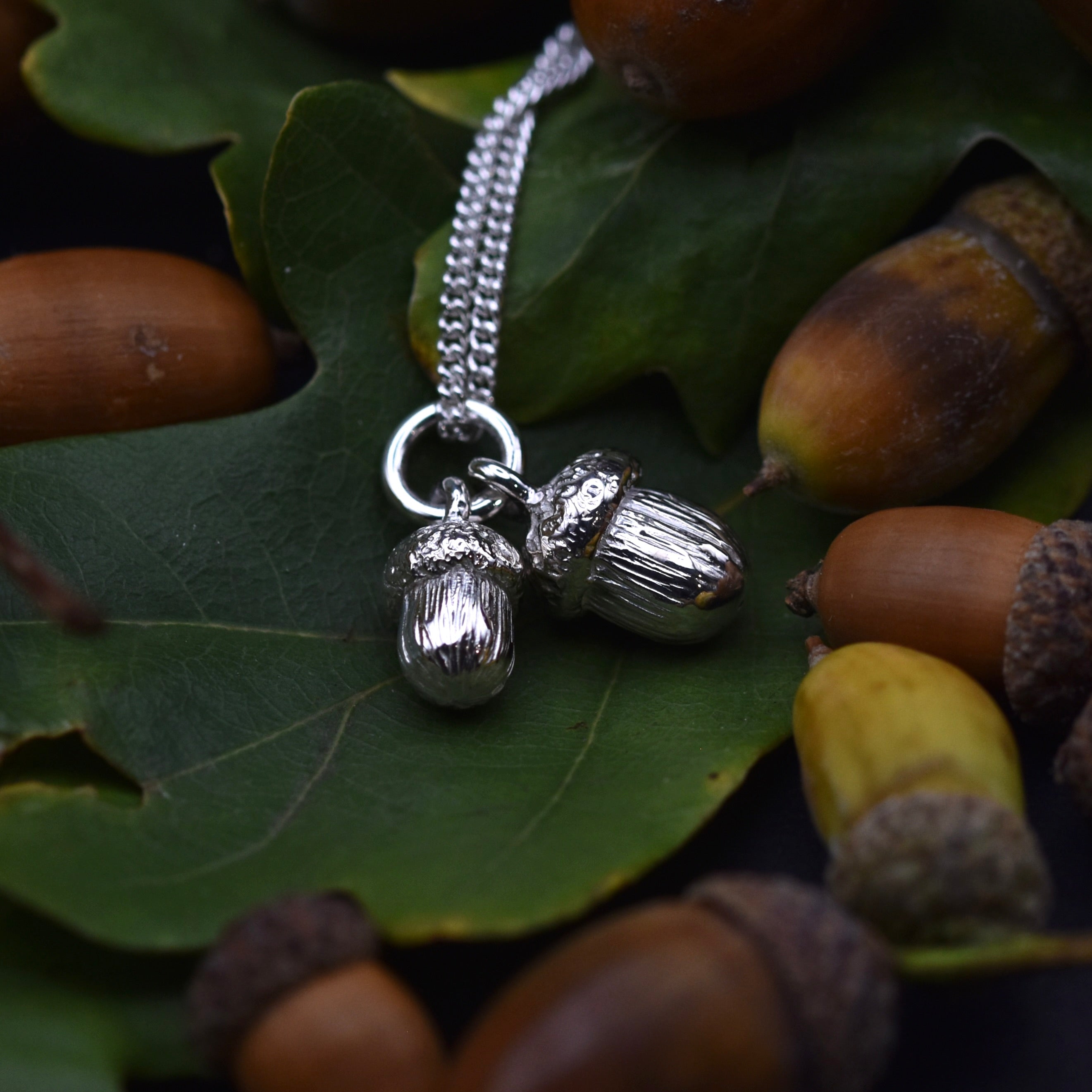 Two silver acorns of different sizes on a siler chain siting amongst oak leaves and real acorns