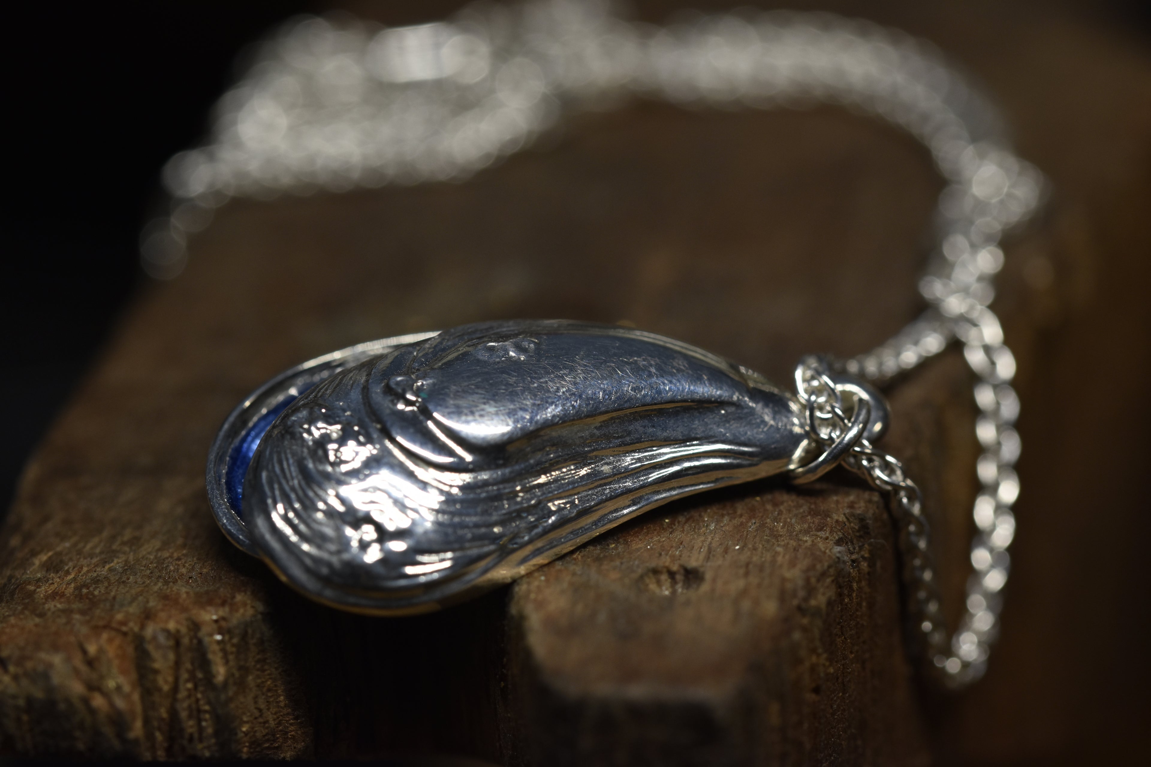 Silver mussel shell pendant on a chain against a dark background