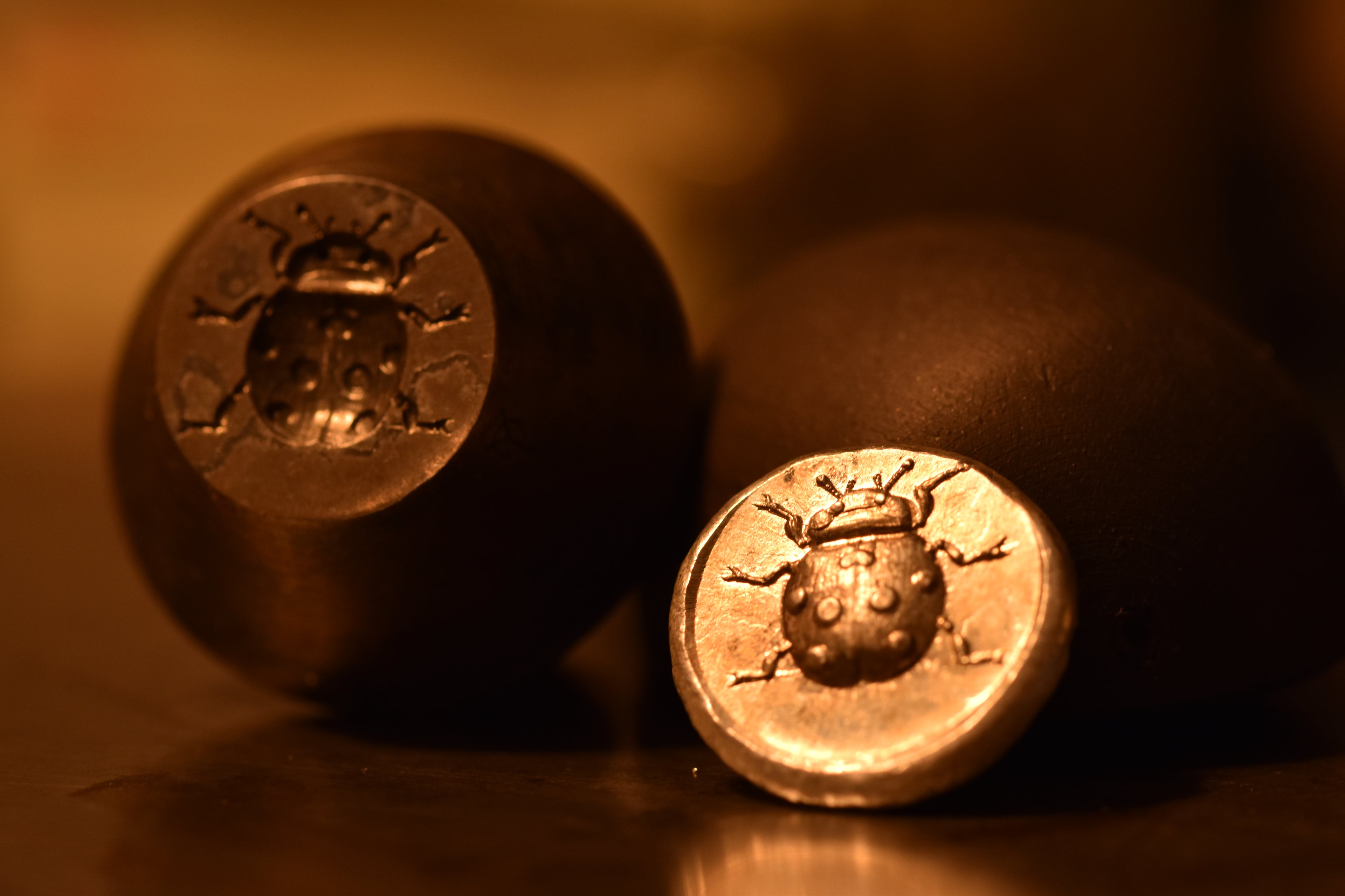a silver stamped design of a ladybird with the steel die beside it