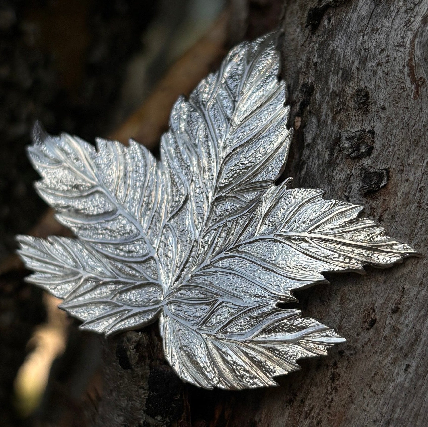 Silver leaf-shaped brooch on a wooden surface